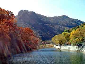 新澳门二四六天天开奖，湘西野鸡苗